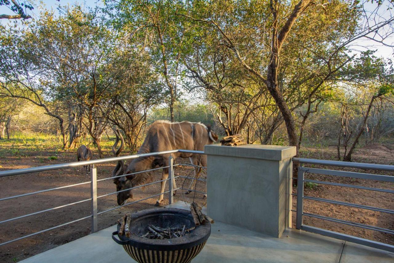 Villa Kruger'S Keep - Luxury Couples Haven Marloth Park Esterno foto